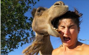 I thought my makeup looked nice. Don't mind the camel eating my head.