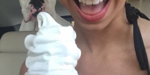 That time I bought a Maccas ice cream only for my dog to eye it off savagely.