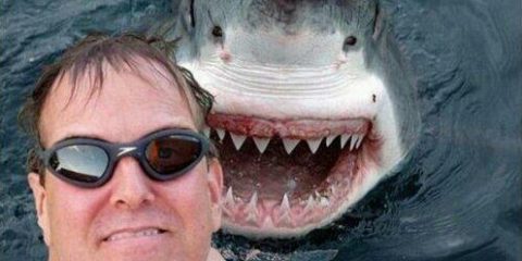 We do hope this photographer made it home in one piece.