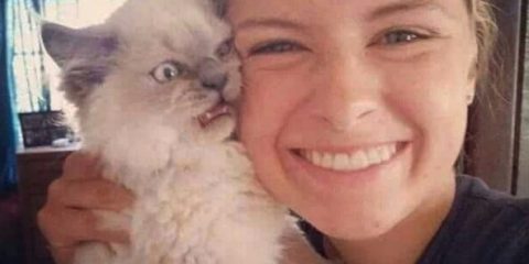 We don't think this cat loves you at all.